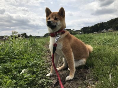 �n�i�u�T�I�[�g