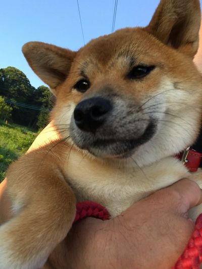 �n�i�u�T�I�[�g