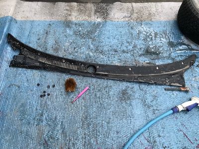 �n�i�u�T�I�[�g