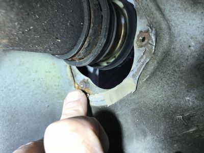 �n�i�u�T�I�[�g